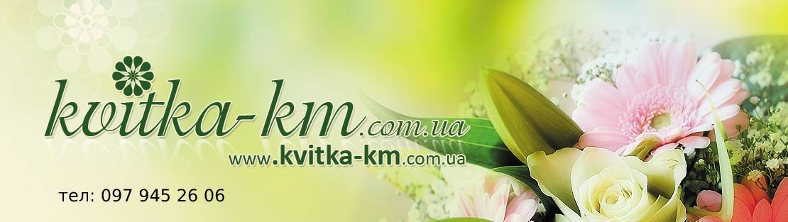 kvitka-km