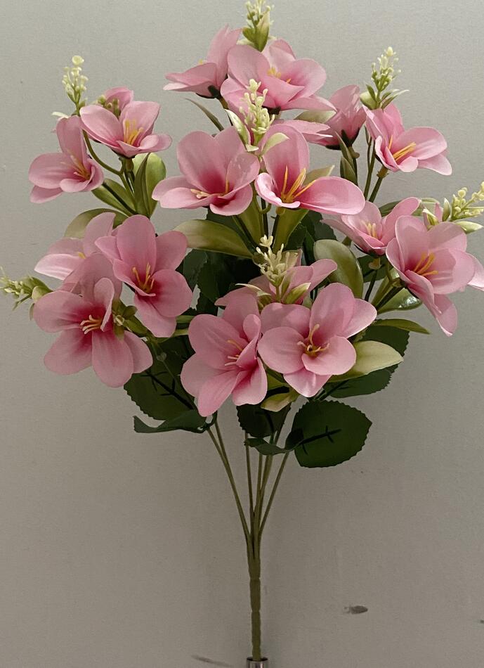 Азалия новая натуральная