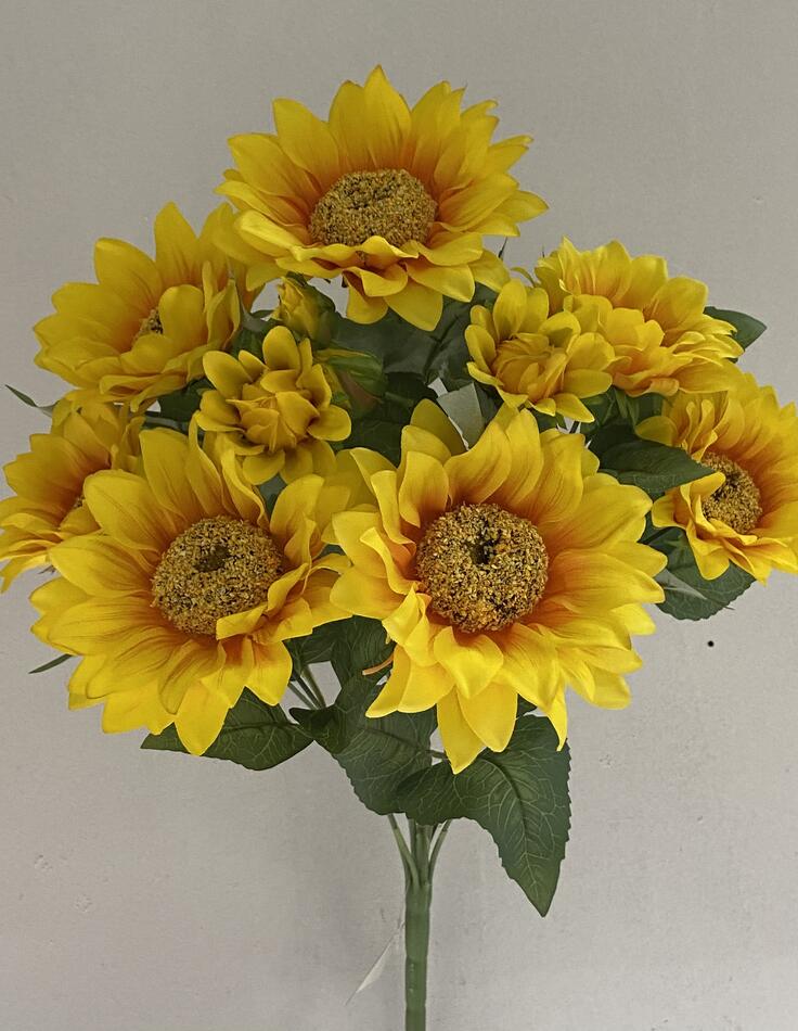 Подсолнух Д-185