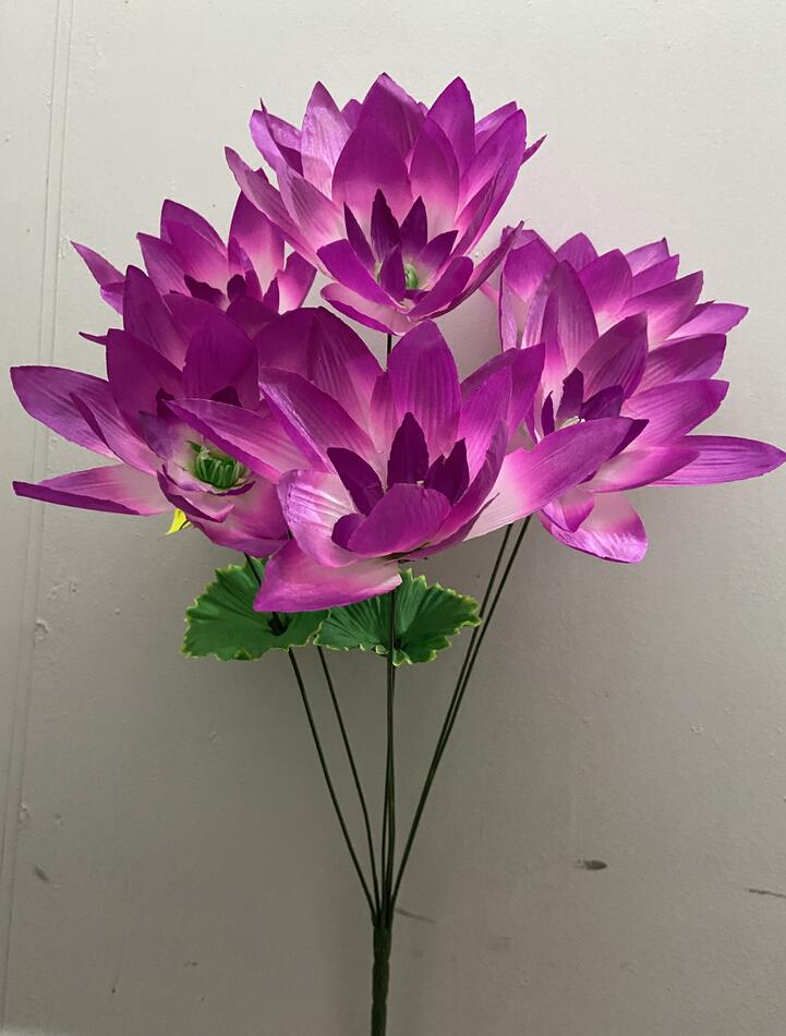 Лотос атласний високий