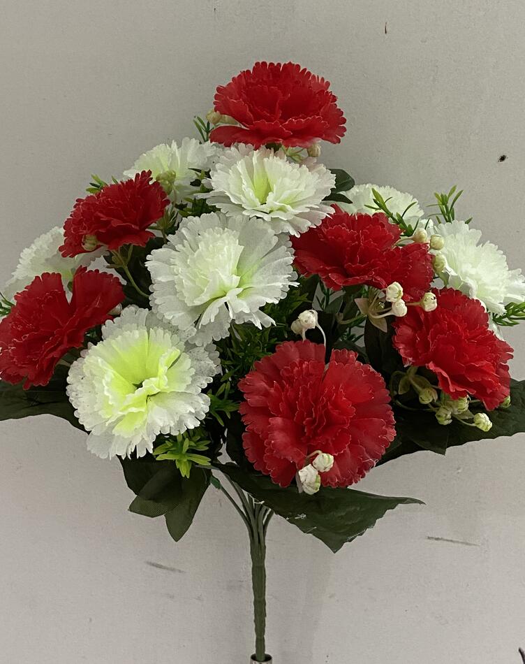 Гвоздика вазон Б+К