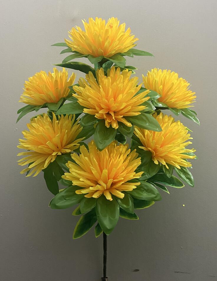 Астра с листом не пресс 7 ка