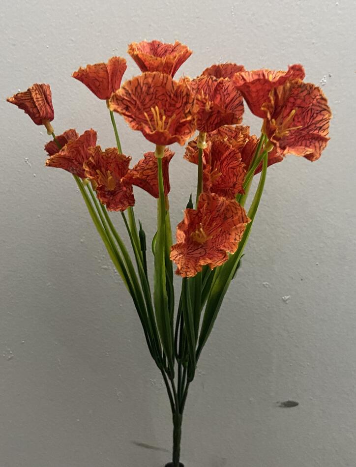 Осока с цветком Петунии