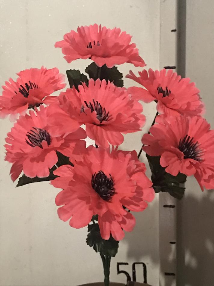 Мак цветной