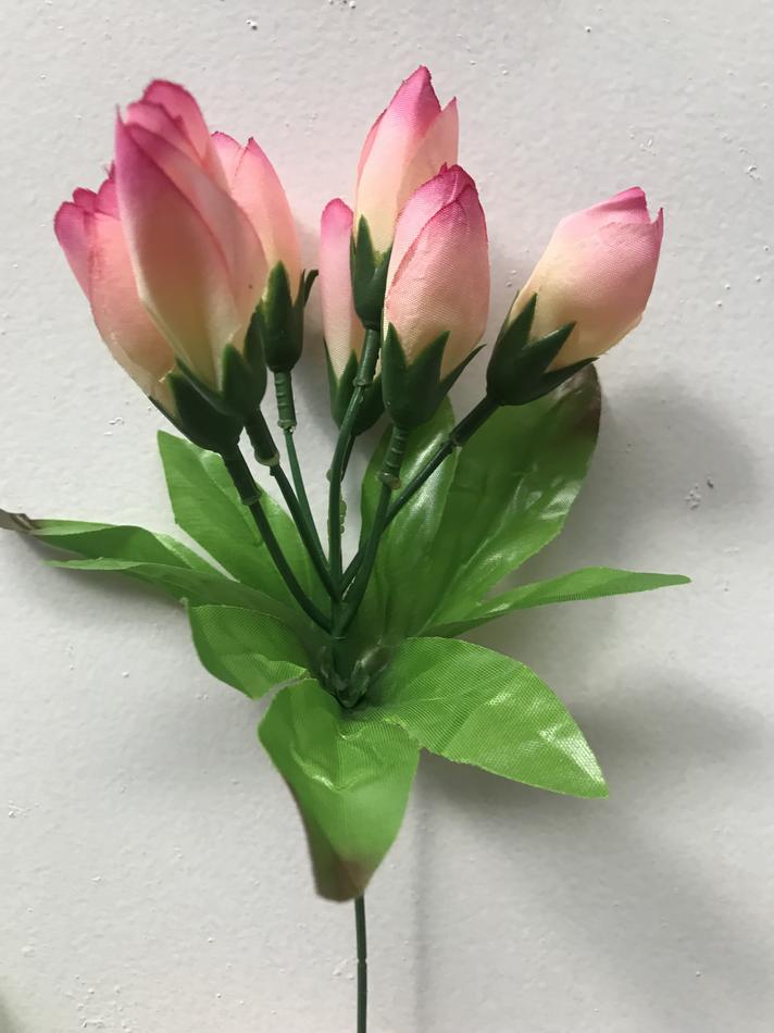 Тюльпан зал-ка