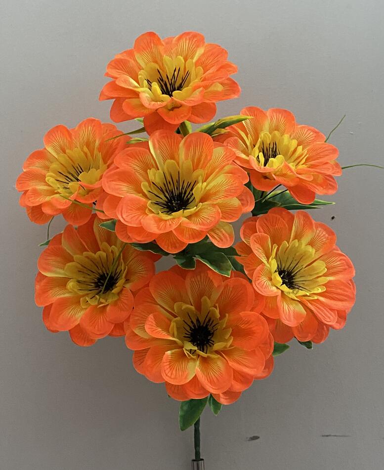 Георгина 7 ка рябая атлас