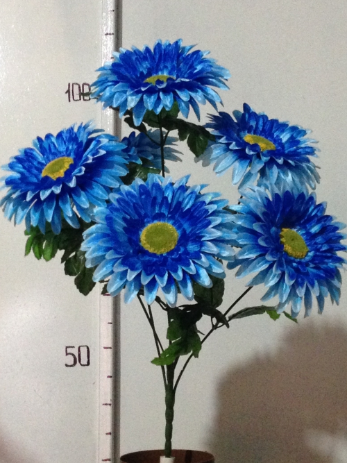 Астра крупная 6 атласная