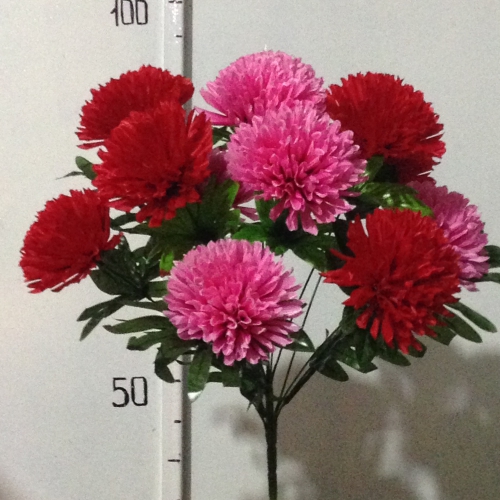 Хризантема цветная вазон-12 атласная