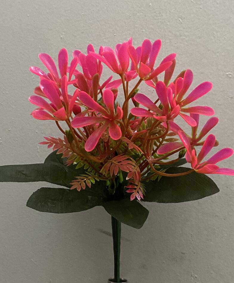 Пролиски зал-ка пластик нова