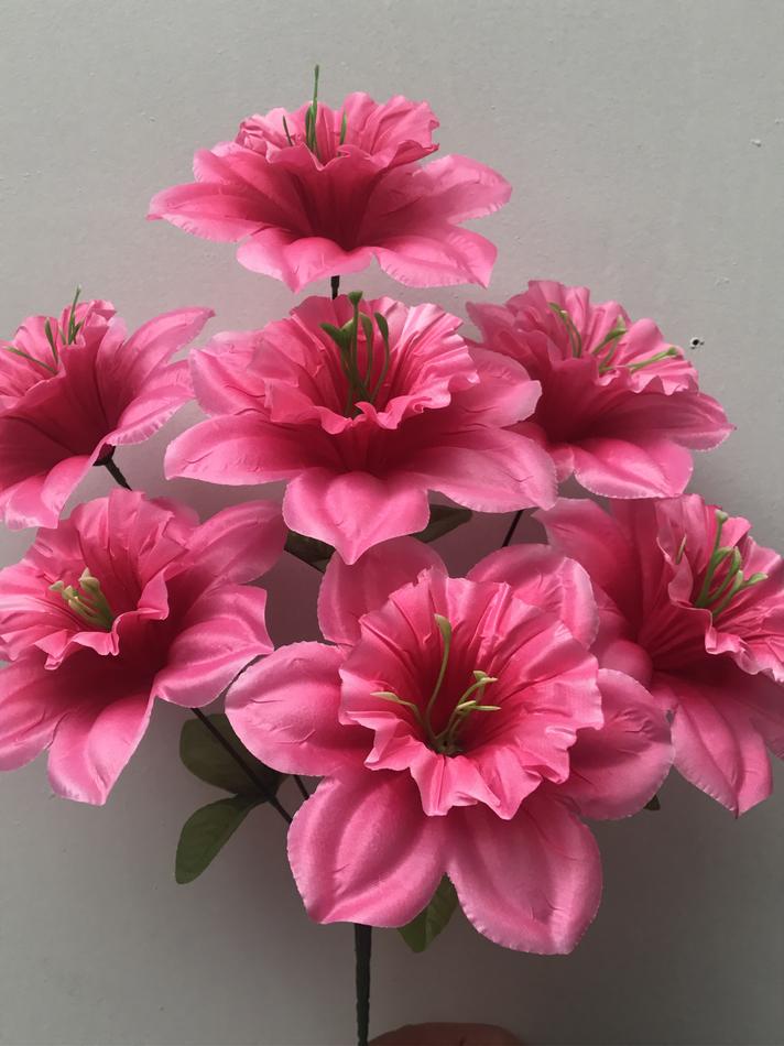 Нарцисс атласный крупный