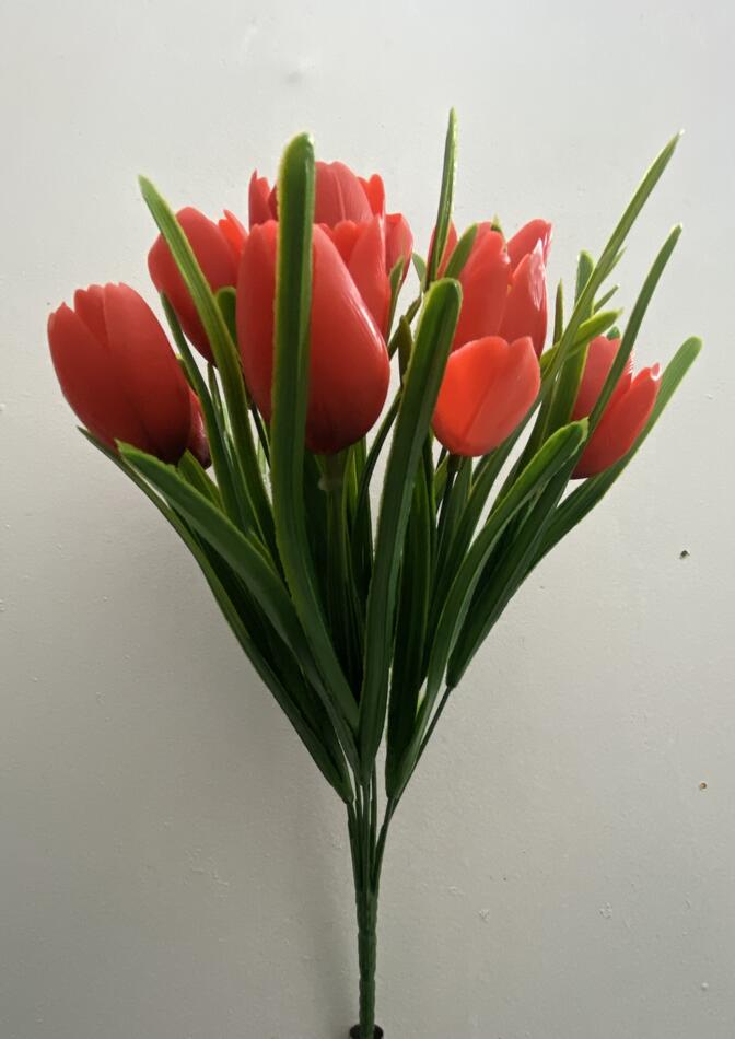 Тюльпан латекс F-555