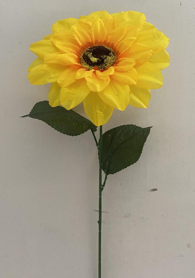 подсолнух ветка