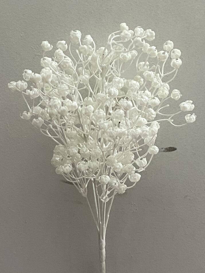 Эвкалипт белий F-278