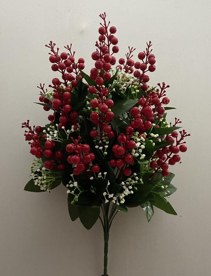 Калина крупная 18 ка