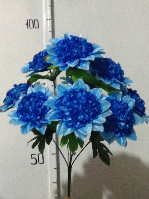 Георгина калинка атласная-9