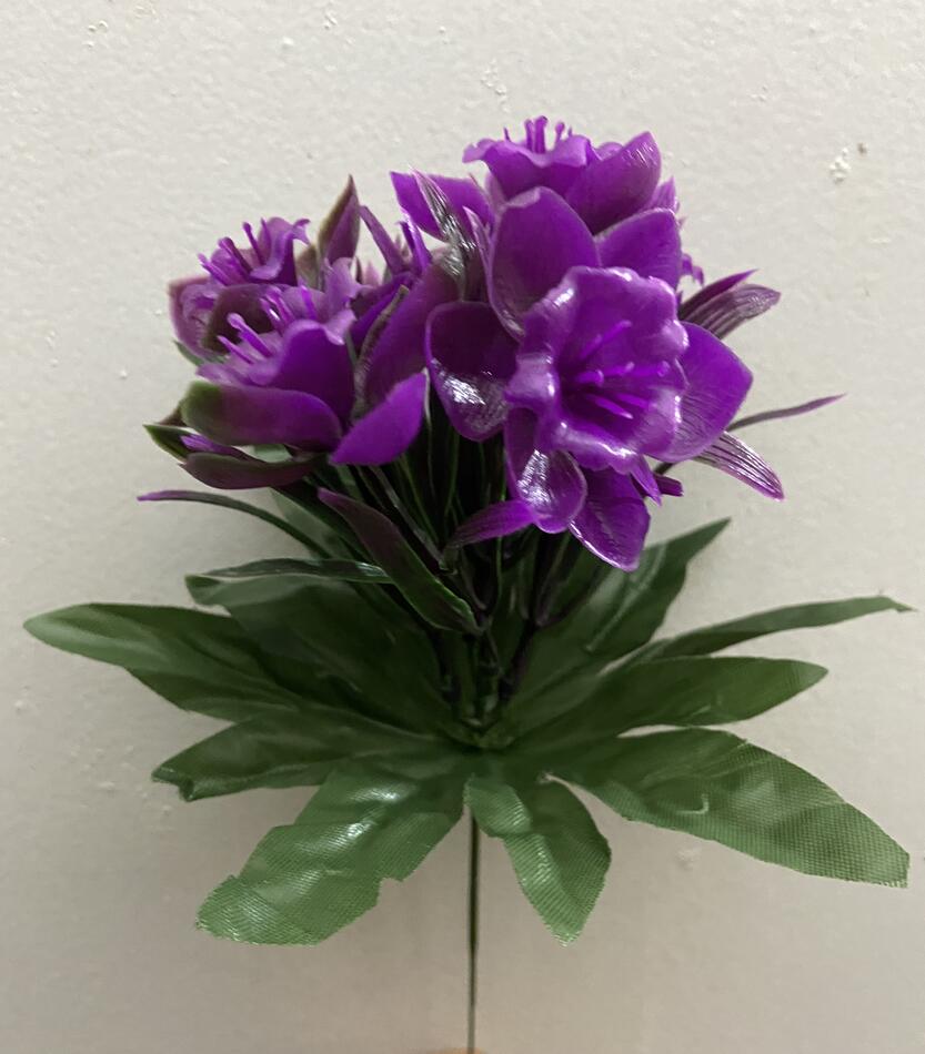 Нарцис пластик зал-ка