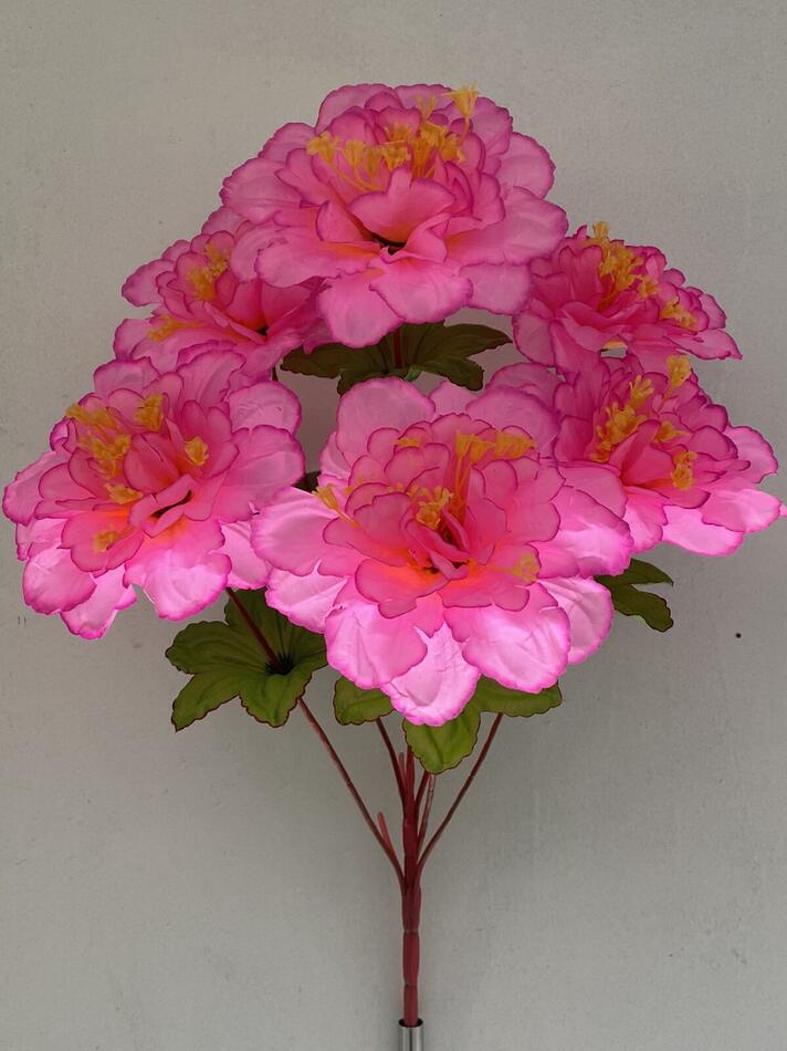 Гербера с серединкой красная ножка