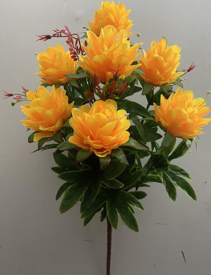 Ананас красная ножка нова G