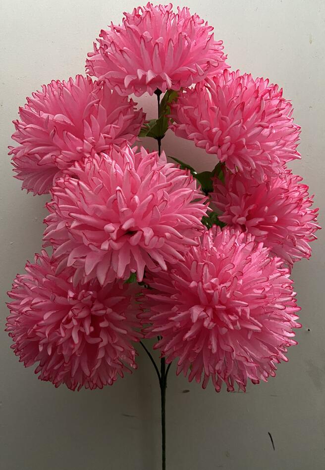 Хризантема Гигант 7 ка