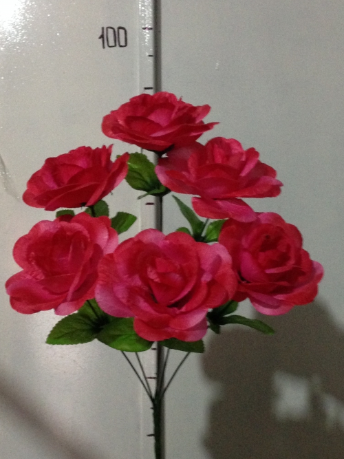 Роза круглая 6 ка