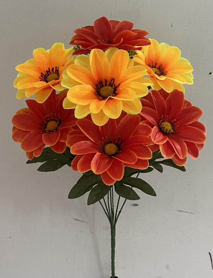 Гербера двухцветная новая V