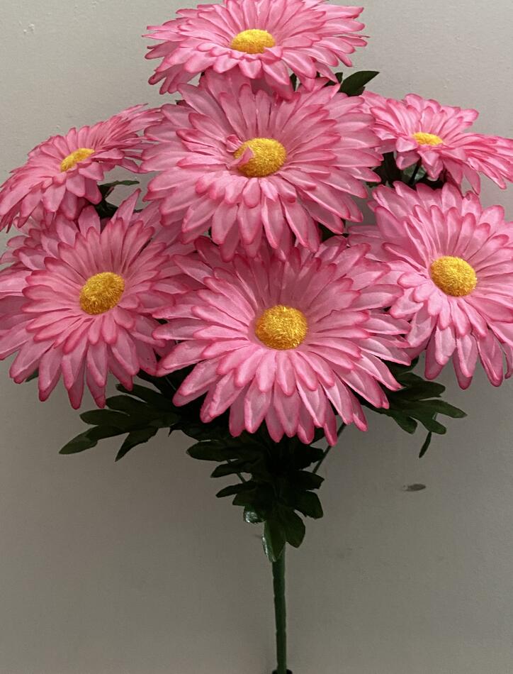 Ромашка 9 ка цветная