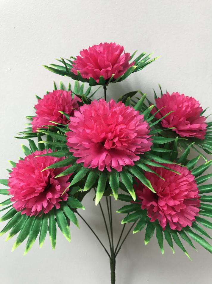 гвоздика водяная новая