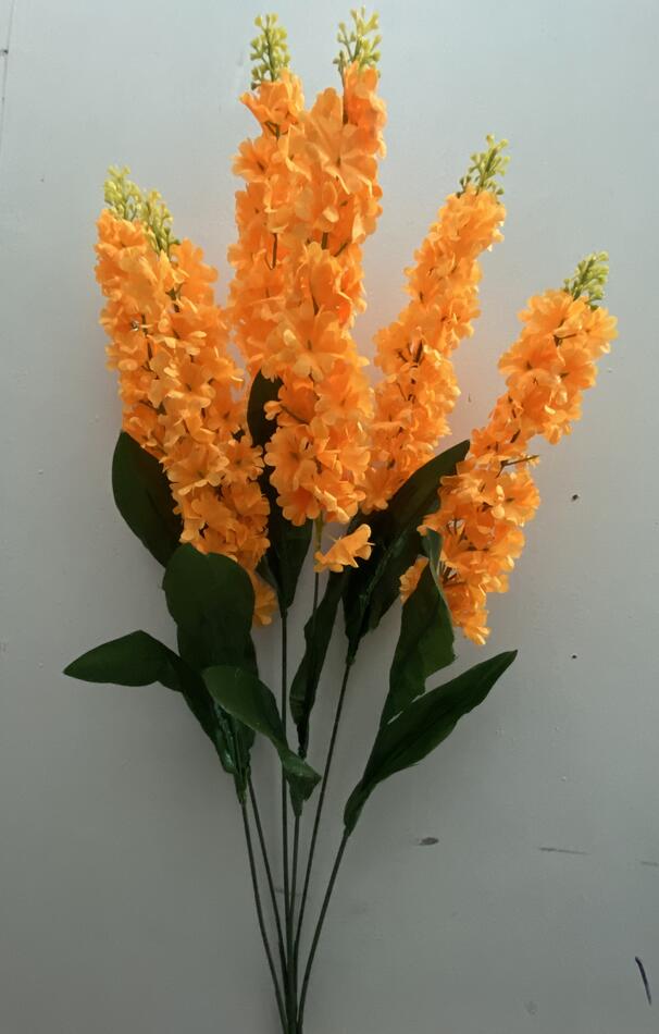 Люпин висок 6 ка