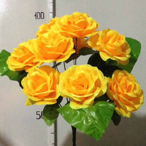 Роза крупная с лопухом -10 атлас