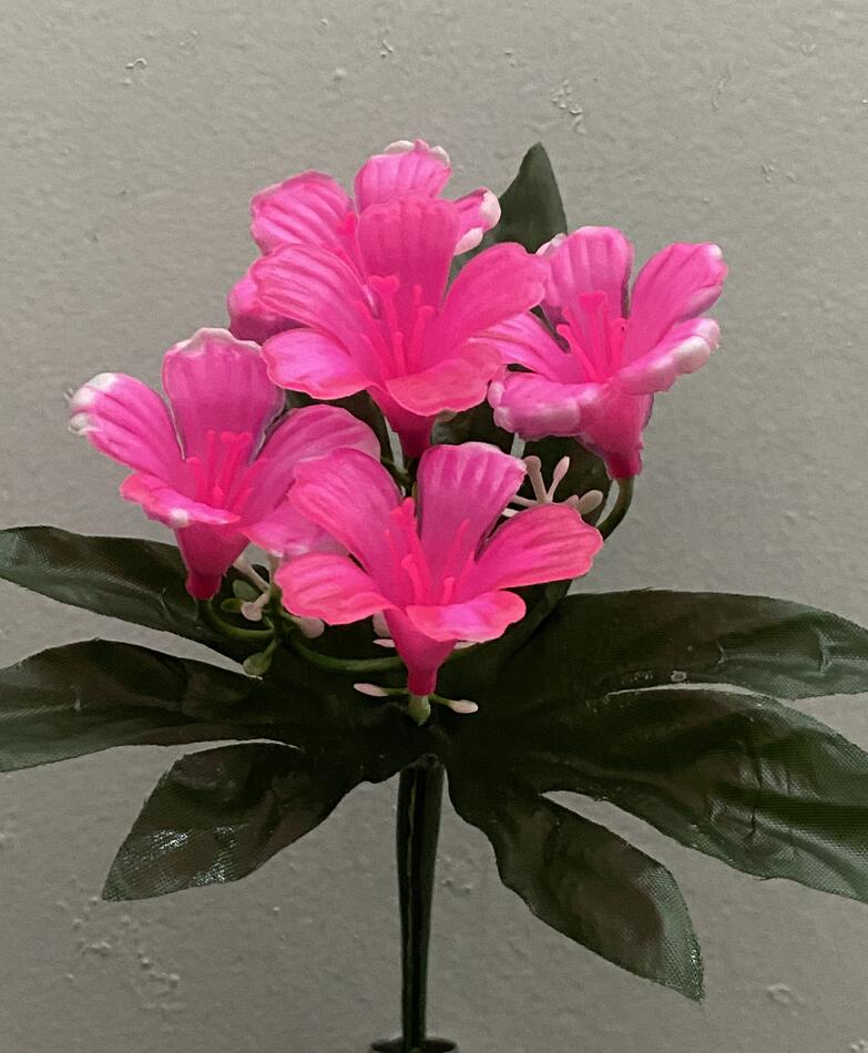 Лилия пластик зал-ка нова