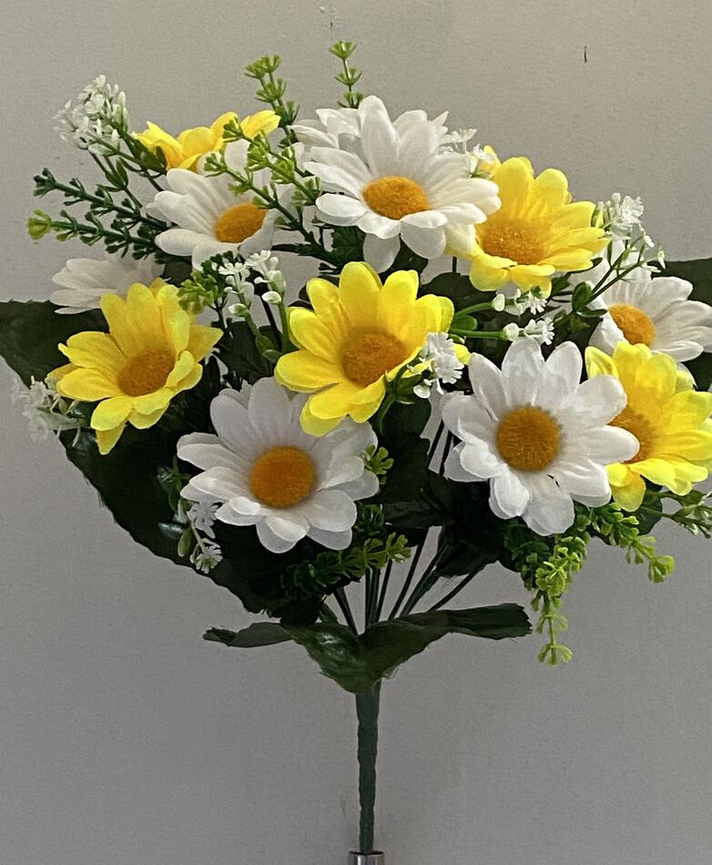 Ромашка вазон белая+жолтая