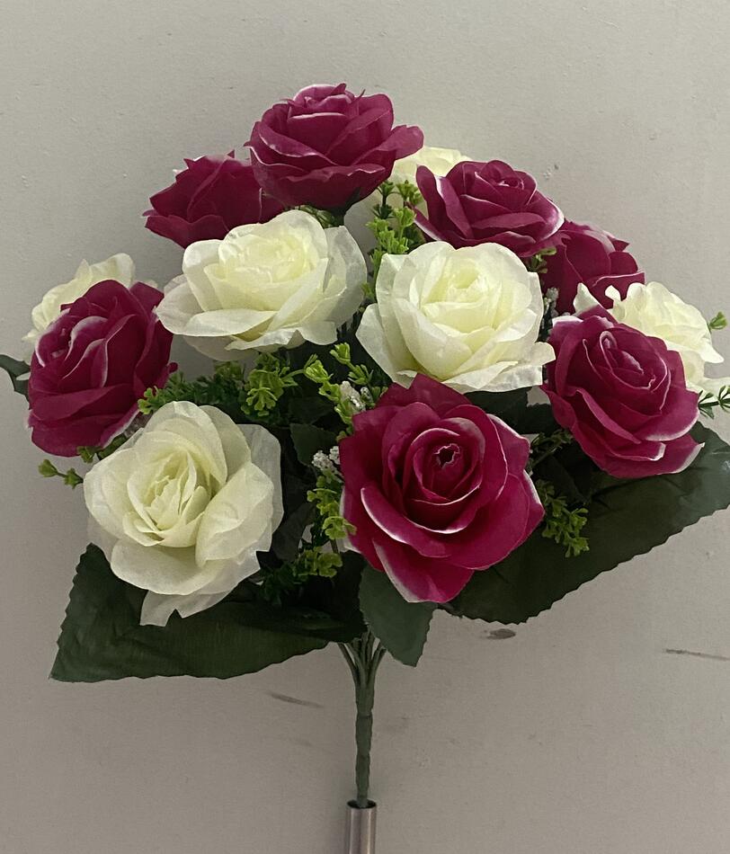 Роза двухцветная с лопухом