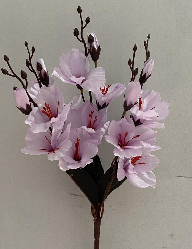 Магнолия кр.ножка нова S-293