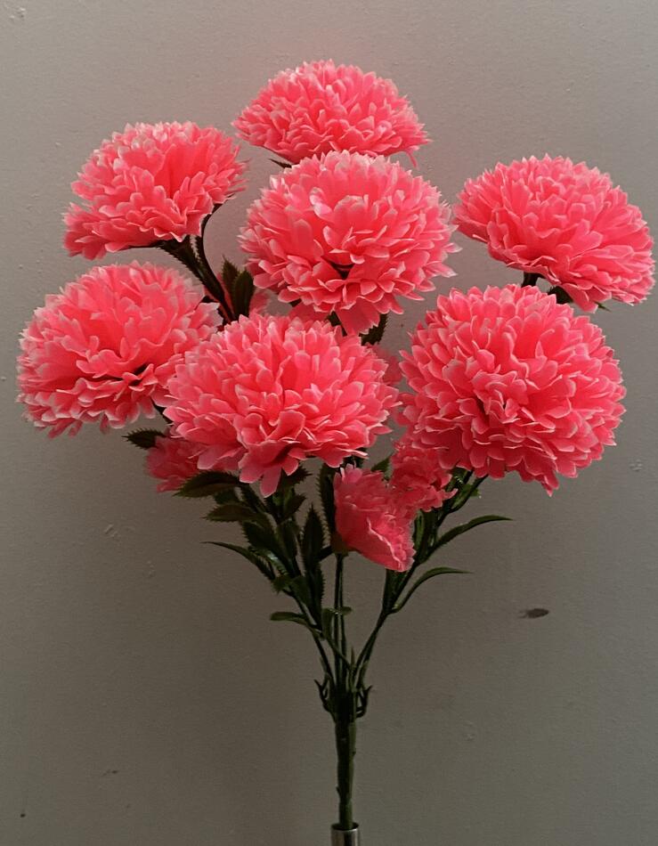 Хризантема с детками