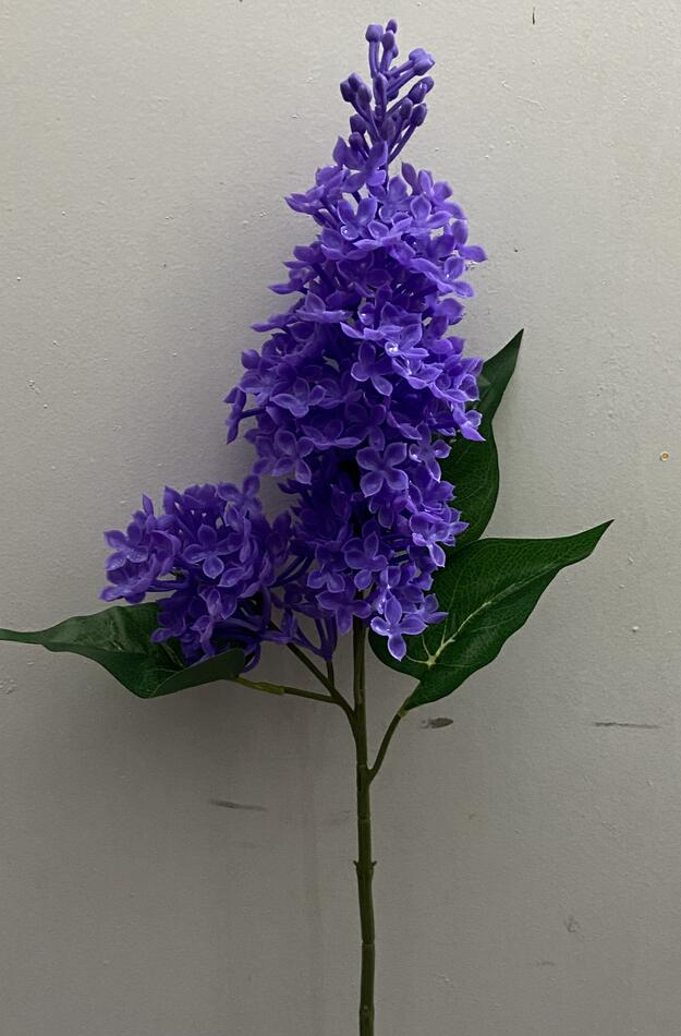 Ветка сирень латекс