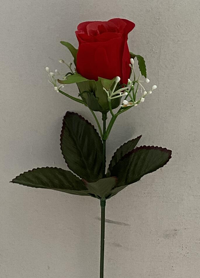 Бутон бархатнай с кашкой одиночный