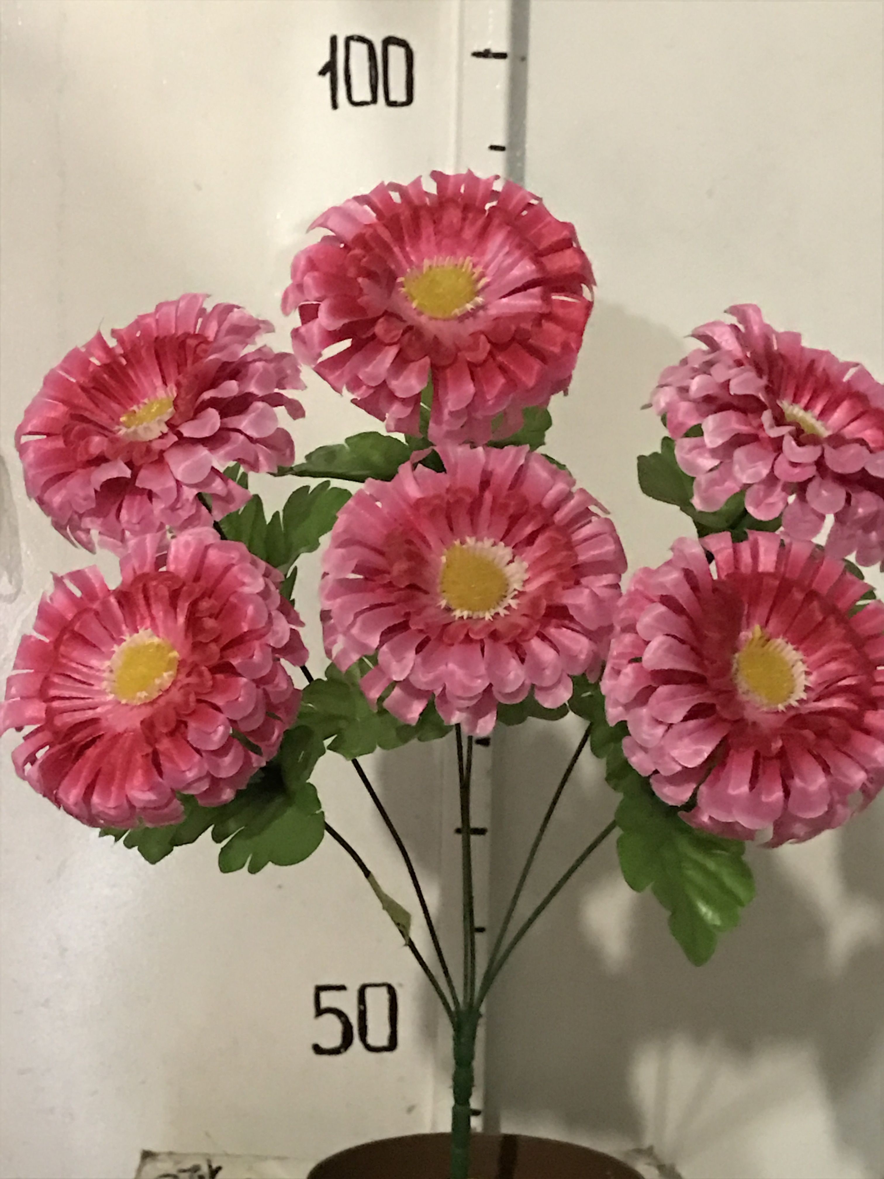 Полукалинка