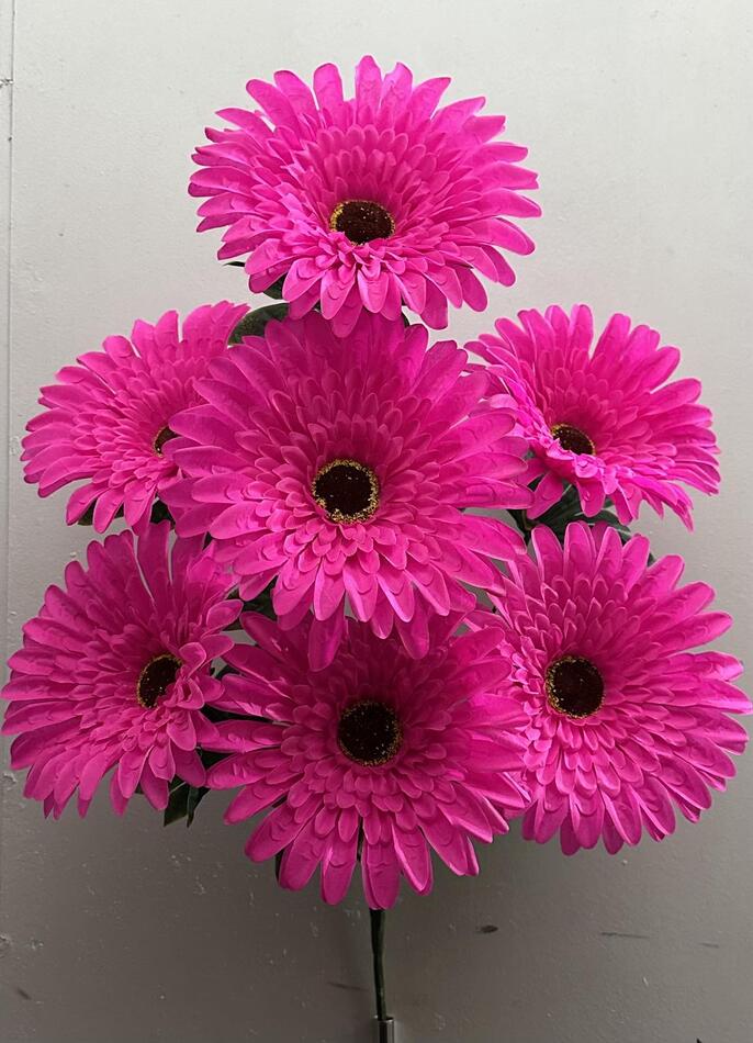 Ромашка гигант