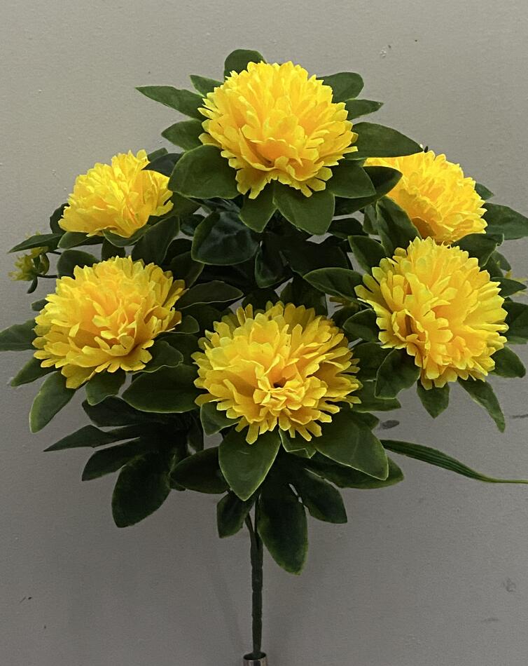 Хризантема медная с листом