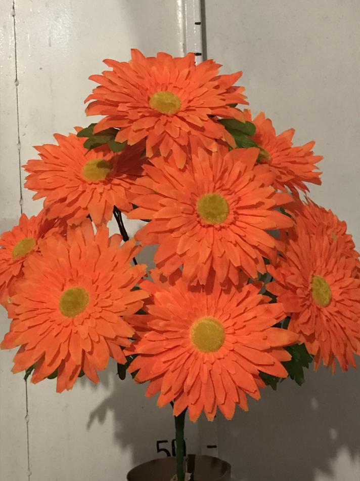 Ромашка крупная 9 ка