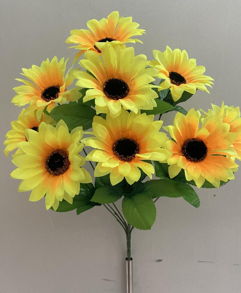 Подсолнух 9 ка Г