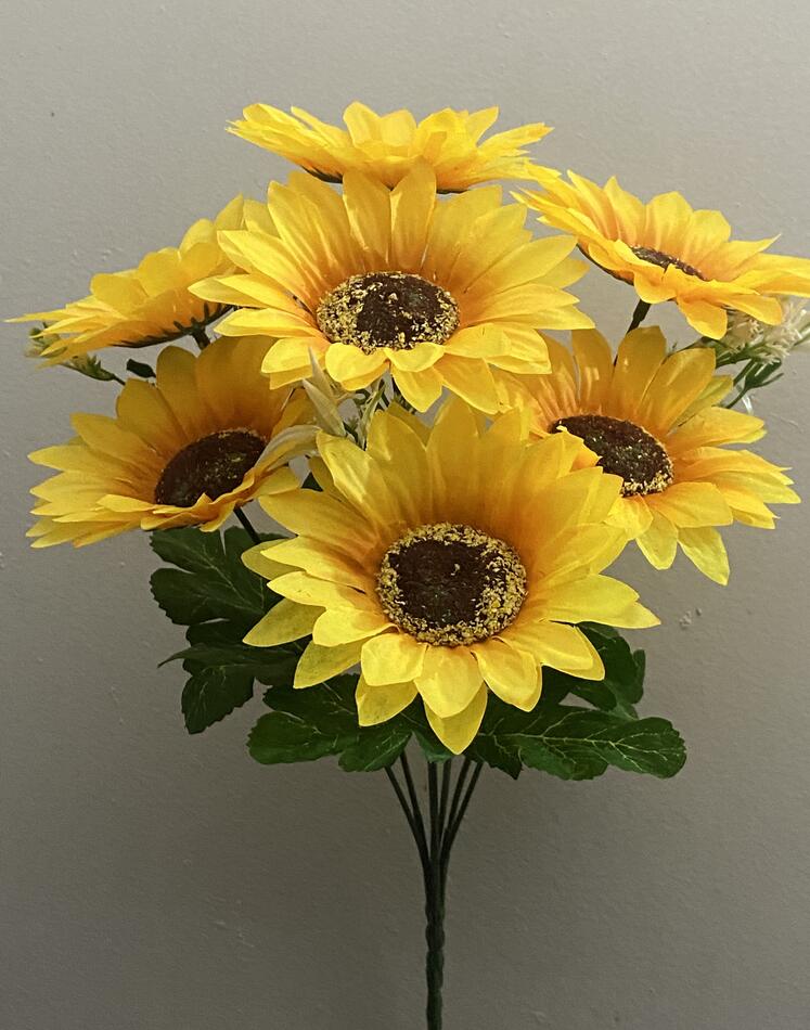 Подсолнух новий 7 ка V