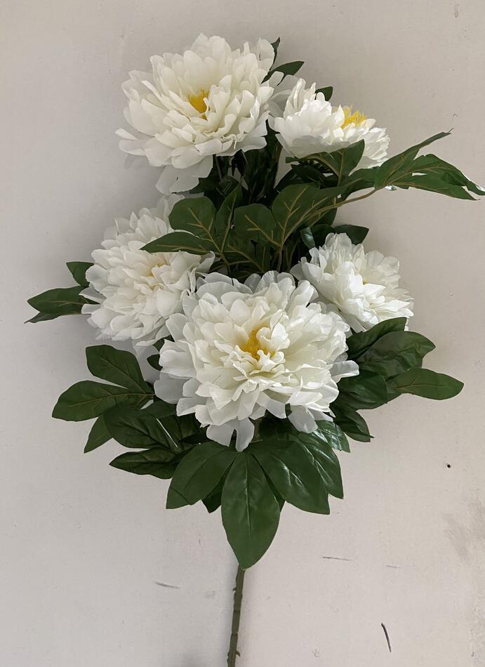 Пион ветка 5 ка S-255