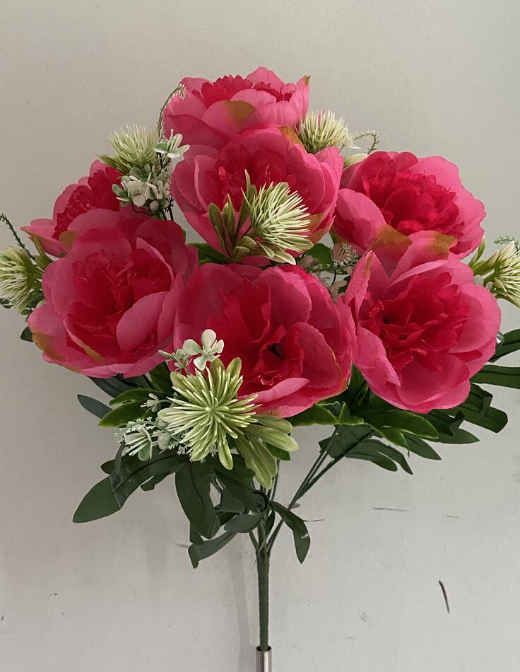 Пион с добавкой V