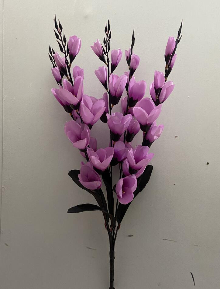 Магнолия кр ножка висока