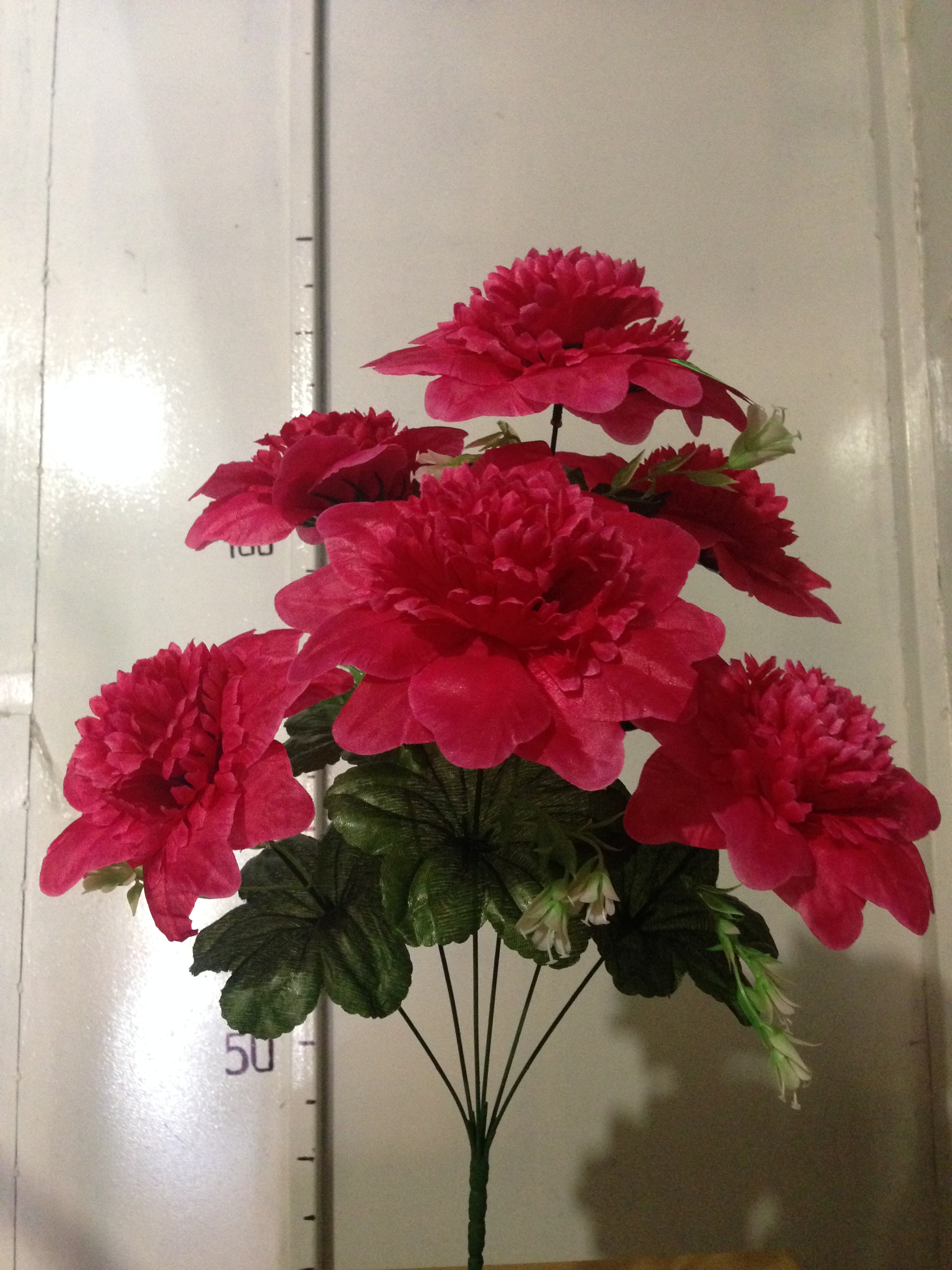 Гербера гвоздика с добавкой