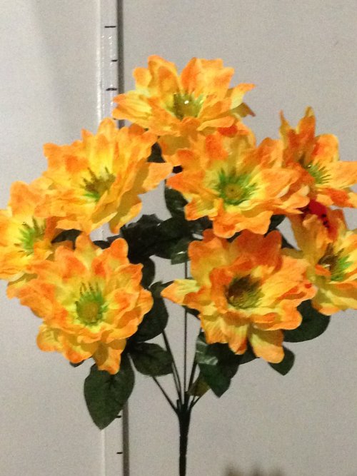 Дубок с золотом-9