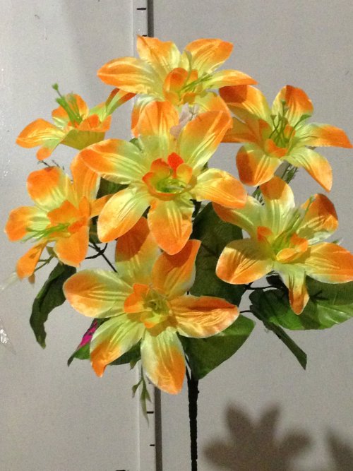 Мальва добавка ромашки атлас