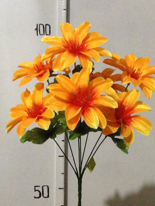 Крокус с золотом атлас-7