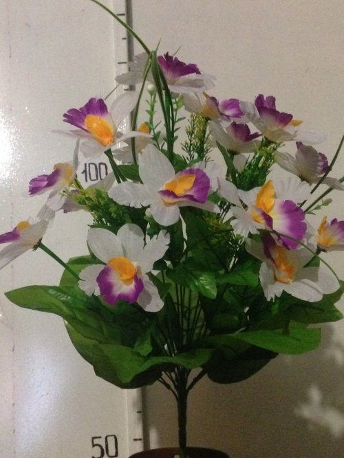 Орхидея с лопухом -14